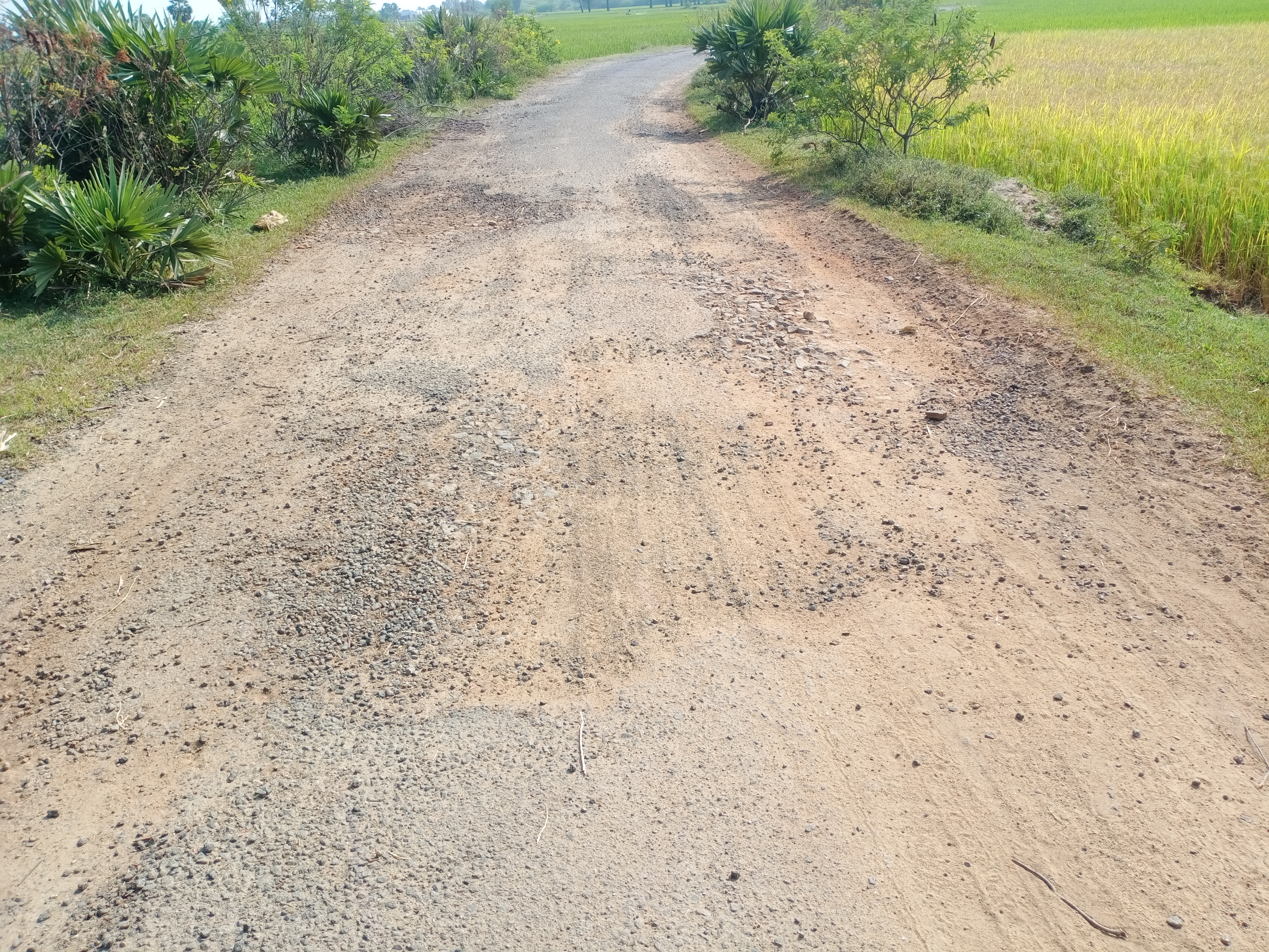 குண்டும், குழியுமான சாலை குண்டும், குழியுமான சாலை