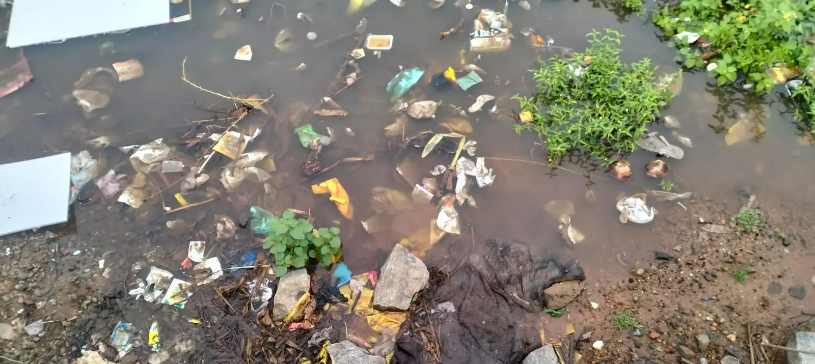 காய்ச்சல் பரவும் அபாயம் காய்ச்சல் பரவும் அபாயம்