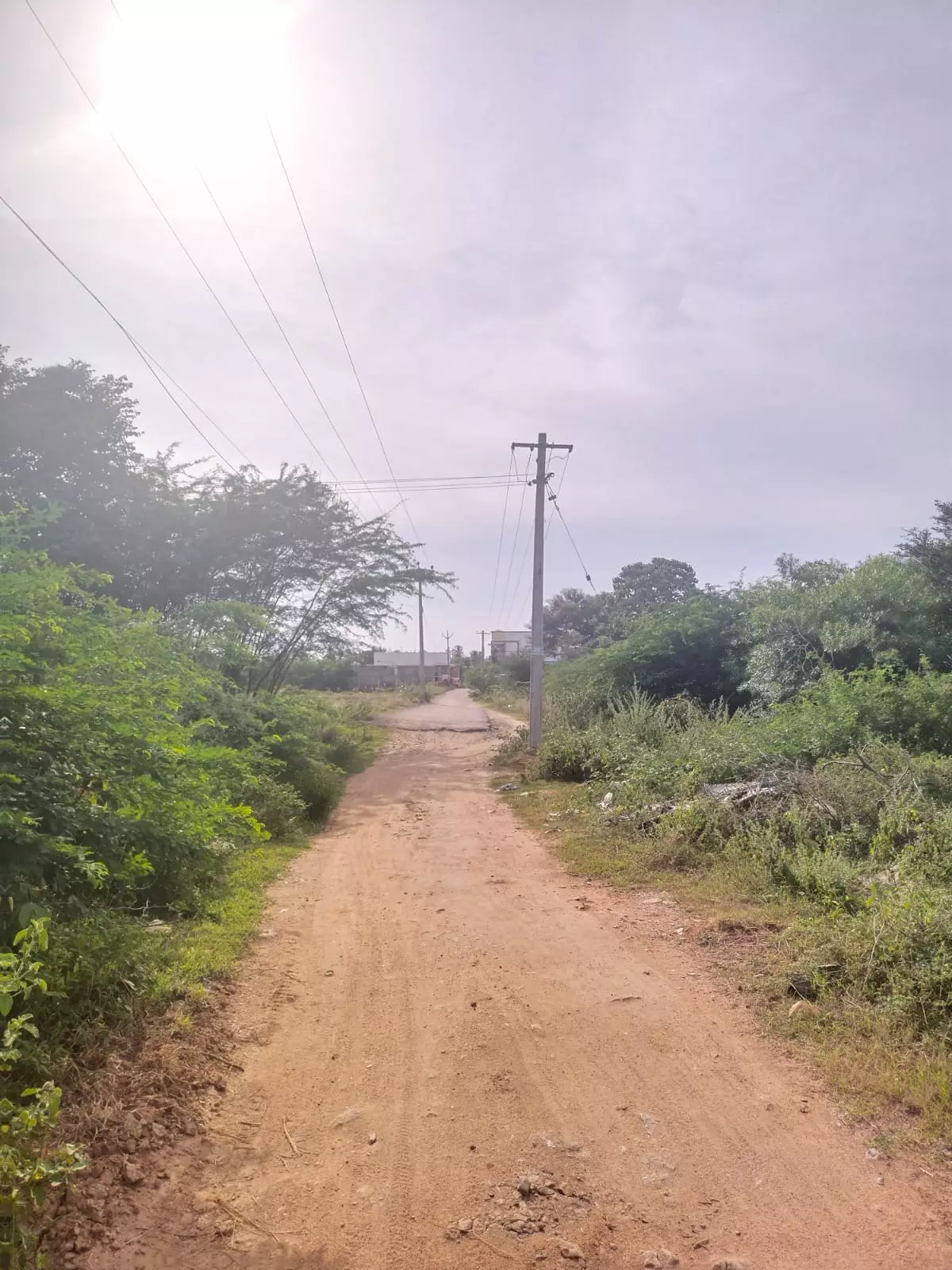 தார் சாலை அமைக்க வேண்டும் தார் சாலை அமைக்க வேண்டும்