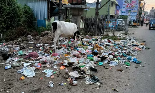 குப்பைகளால் சுகாதார சீர்கேடு குப்பைகளால் சுகாதார சீர்கேடு