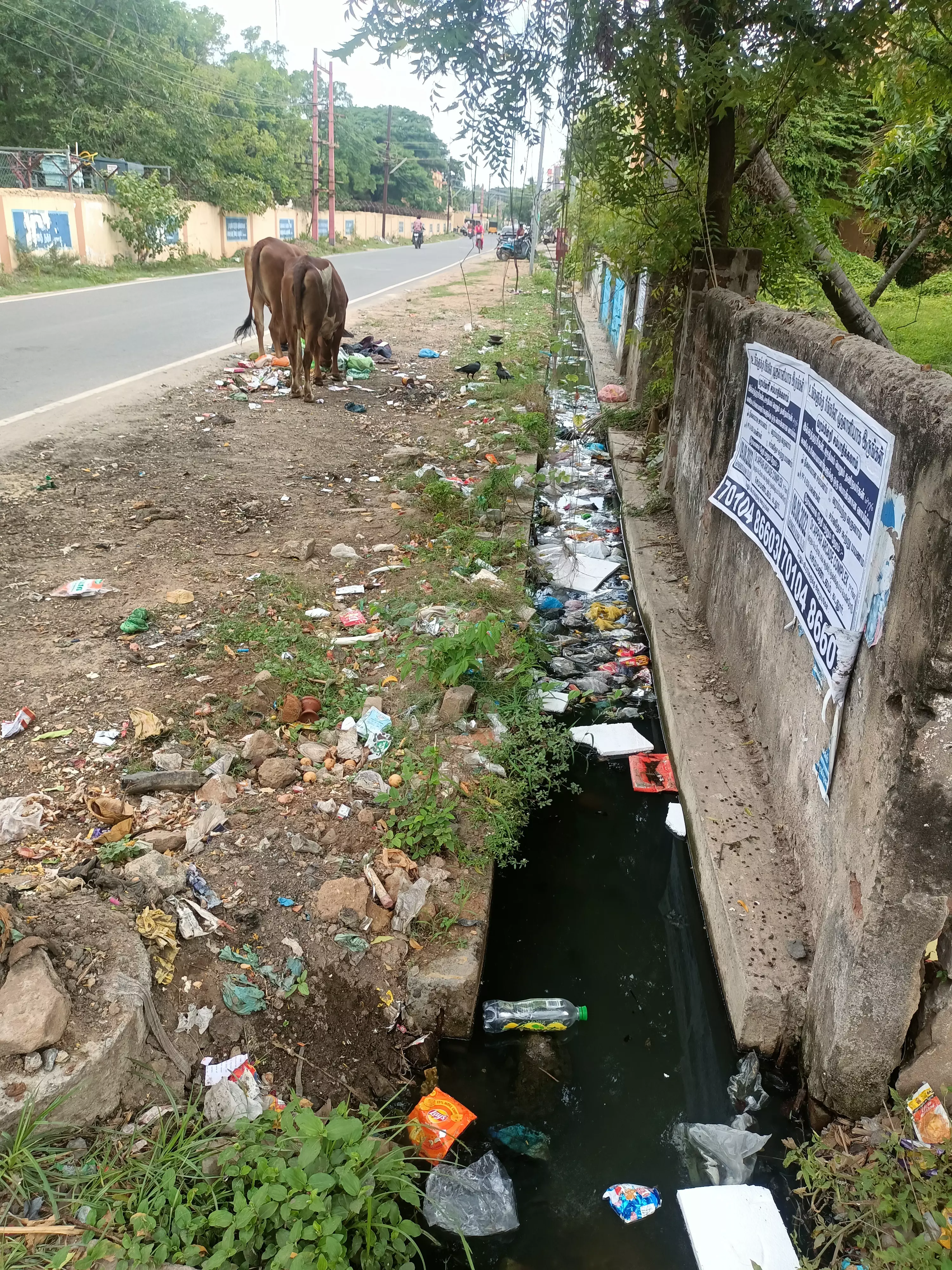 கழிவுநீர் வாய்க்காலை தூர்வாரலாமே கழிவுநீர் வாய்க்காலை தூர்வாரலாமே