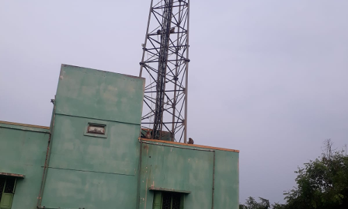 குரங்குகள் அட்டகாசம் குரங்குகள் அட்டகாசம்