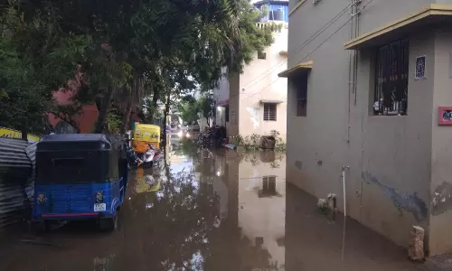 தொற்றுநோய் பரவும் அபாயம் தொற்றுநோய் பரவும் அபாயம்