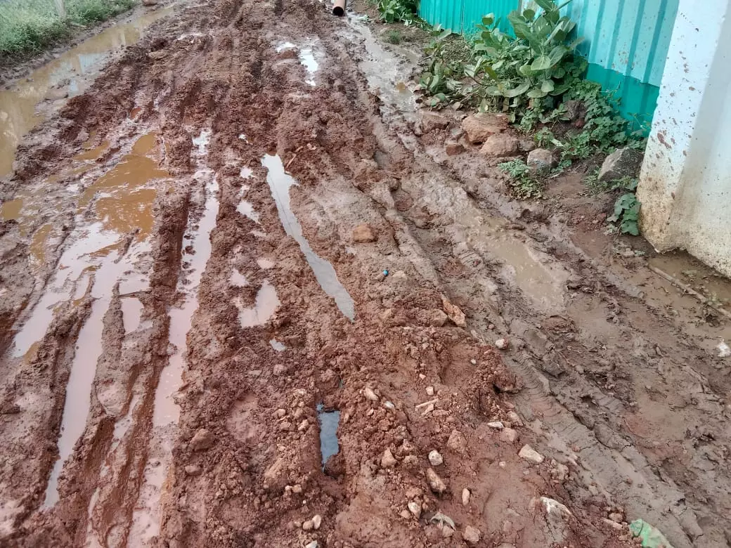 சேறும், சகதியுமான சாலை சேறும், சகதியுமான சாலை