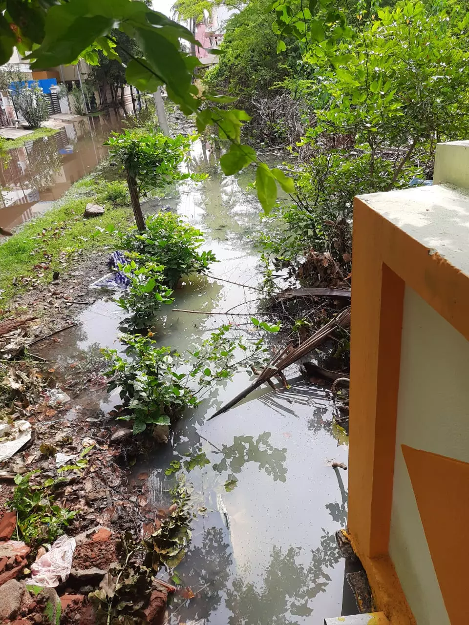 கழிவுநீர் வாய்க்கால் அமைக்கப்படுமா? கழிவுநீர் வாய்க்கால் அமைக்கப்படுமா?