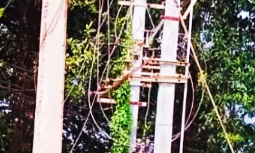 மின்மாற்றியை ஆக்கிரமித்த செடி-கொடிகள் மின்மாற்றியை ஆக்கிரமித்த செடி-கொடிகள்