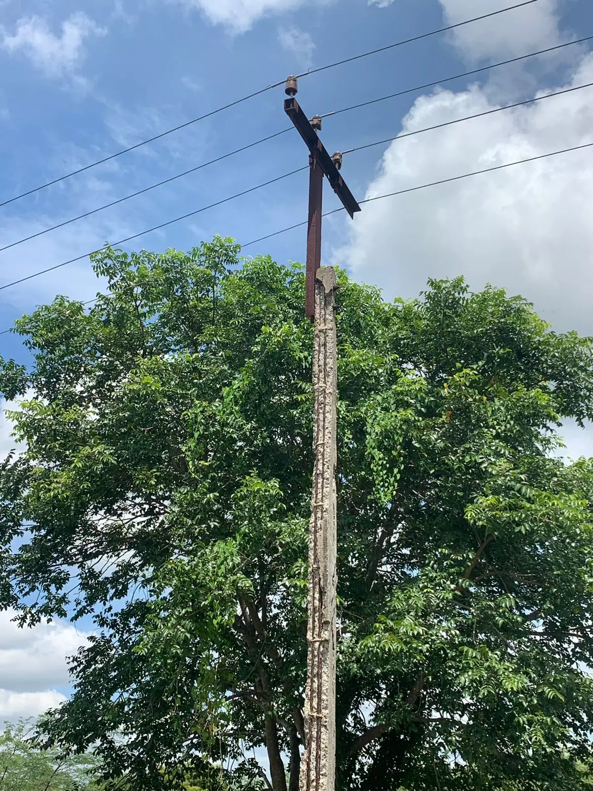 எலும்புக்கூடான மின்கம்பம் எலும்புக்கூடான மின்கம்பம்