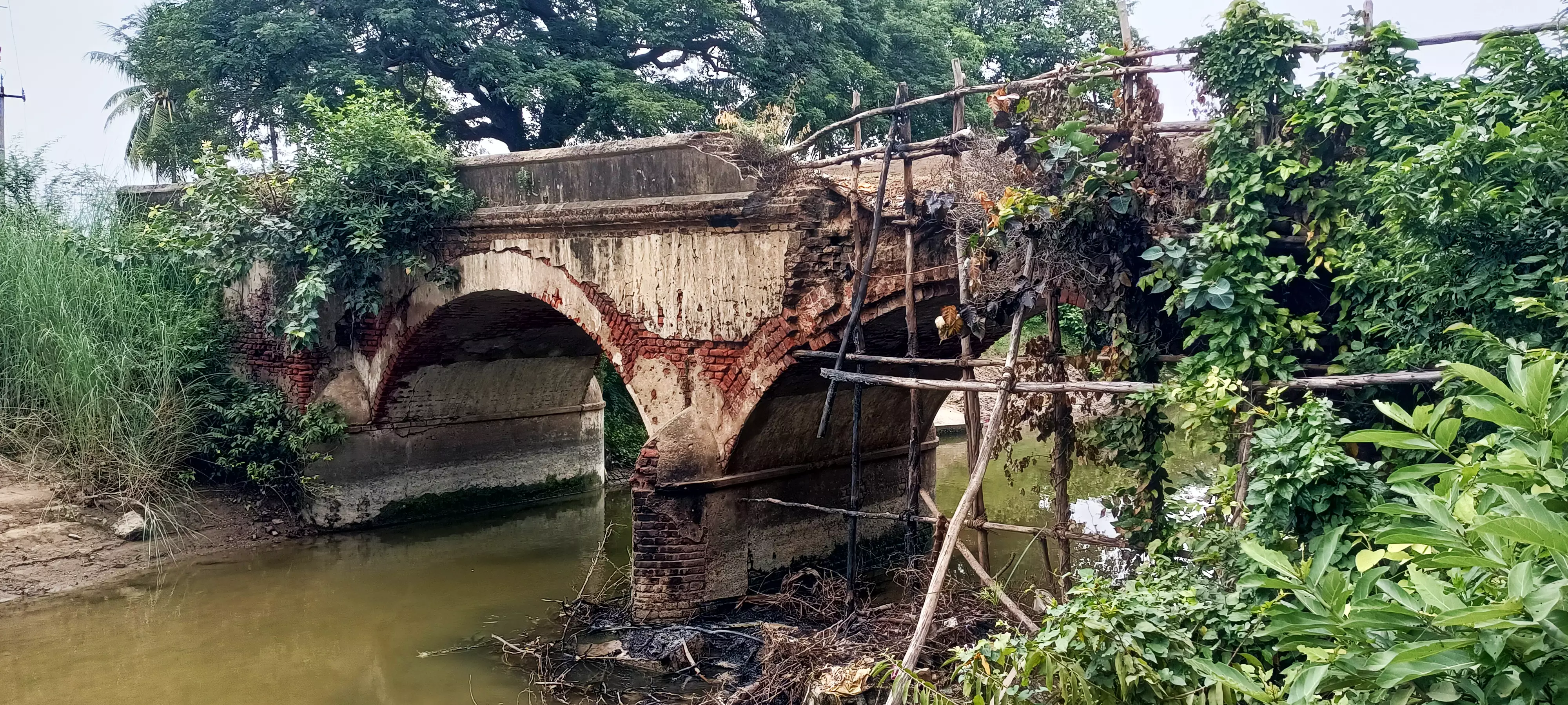 புதிய பாலம் கட்ட வேண்டும்