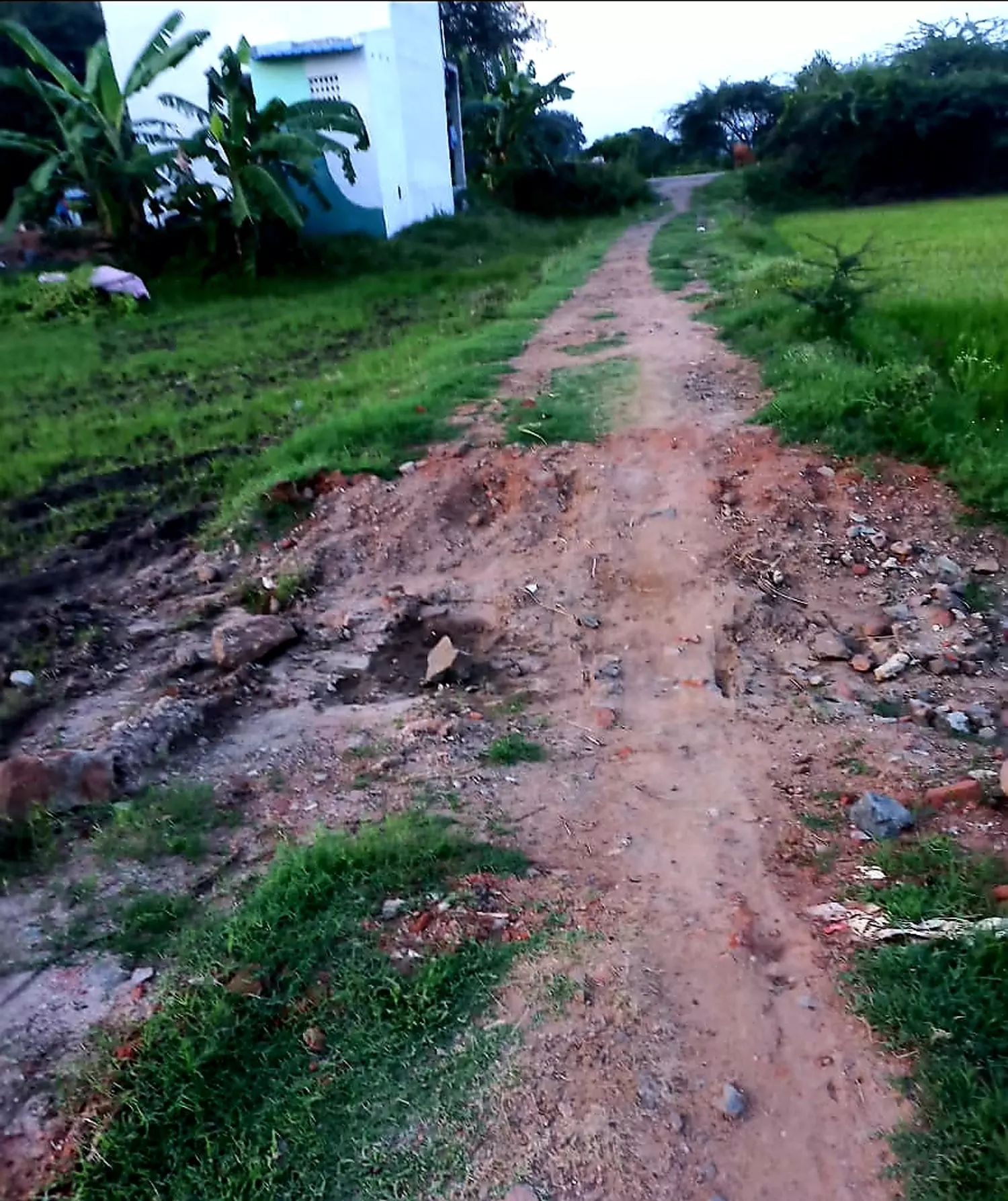 சாலை வசதி தேவை