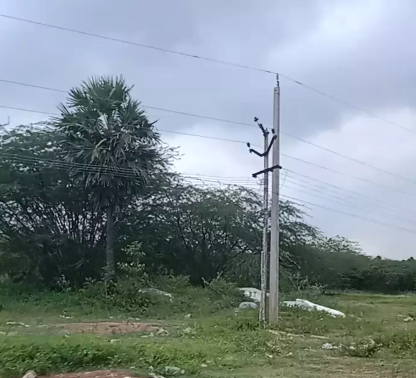 சேதமடைந்த மின் கம்பம் மாற்றப்படுமா?