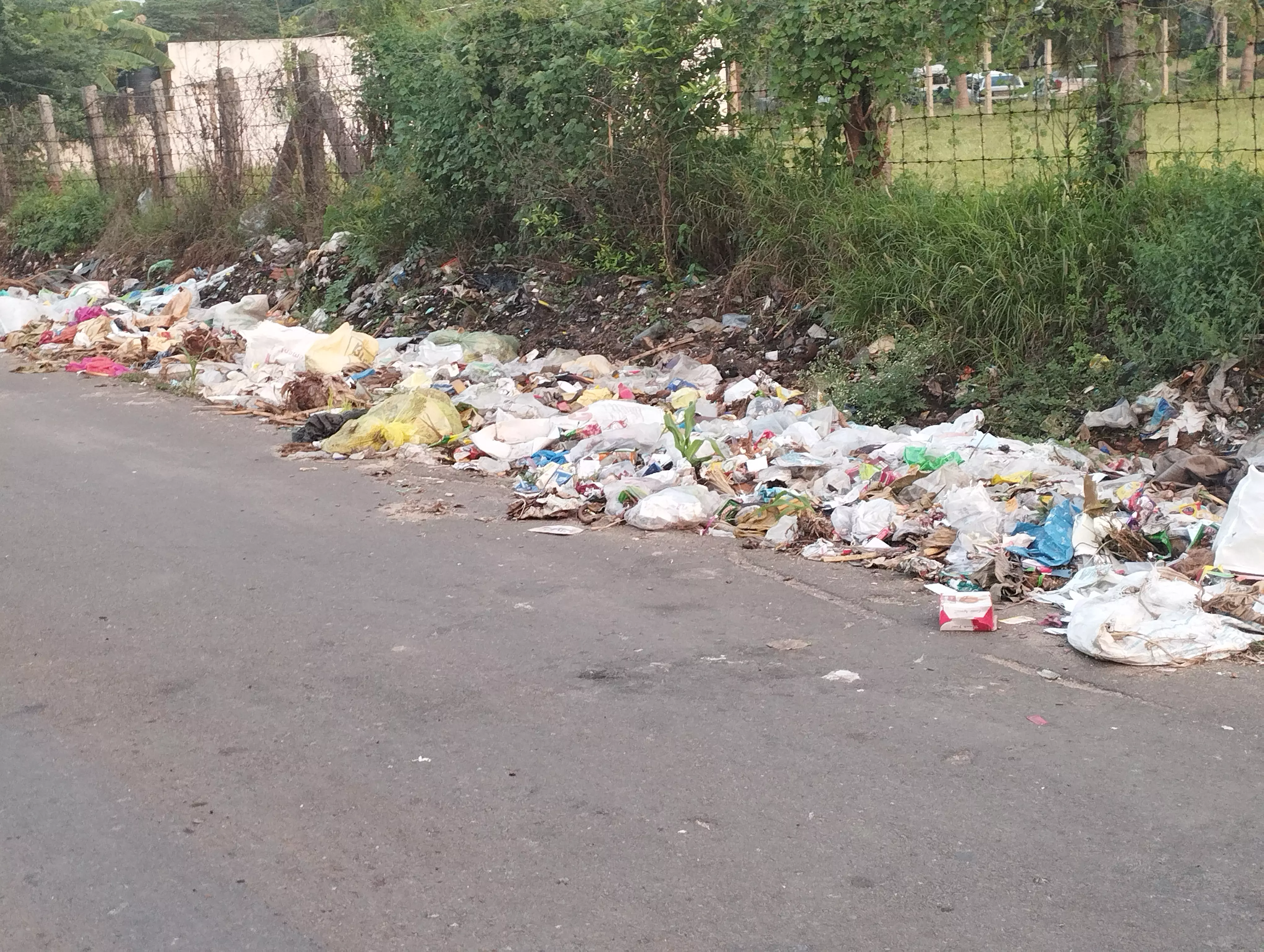 குப்பைகள் அகற்றப்படுமா குப்பைகள் அகற்றப்படுமா