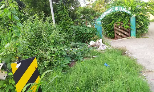 புதருக்குள் பூங்கா புதருக்குள் பூங்கா