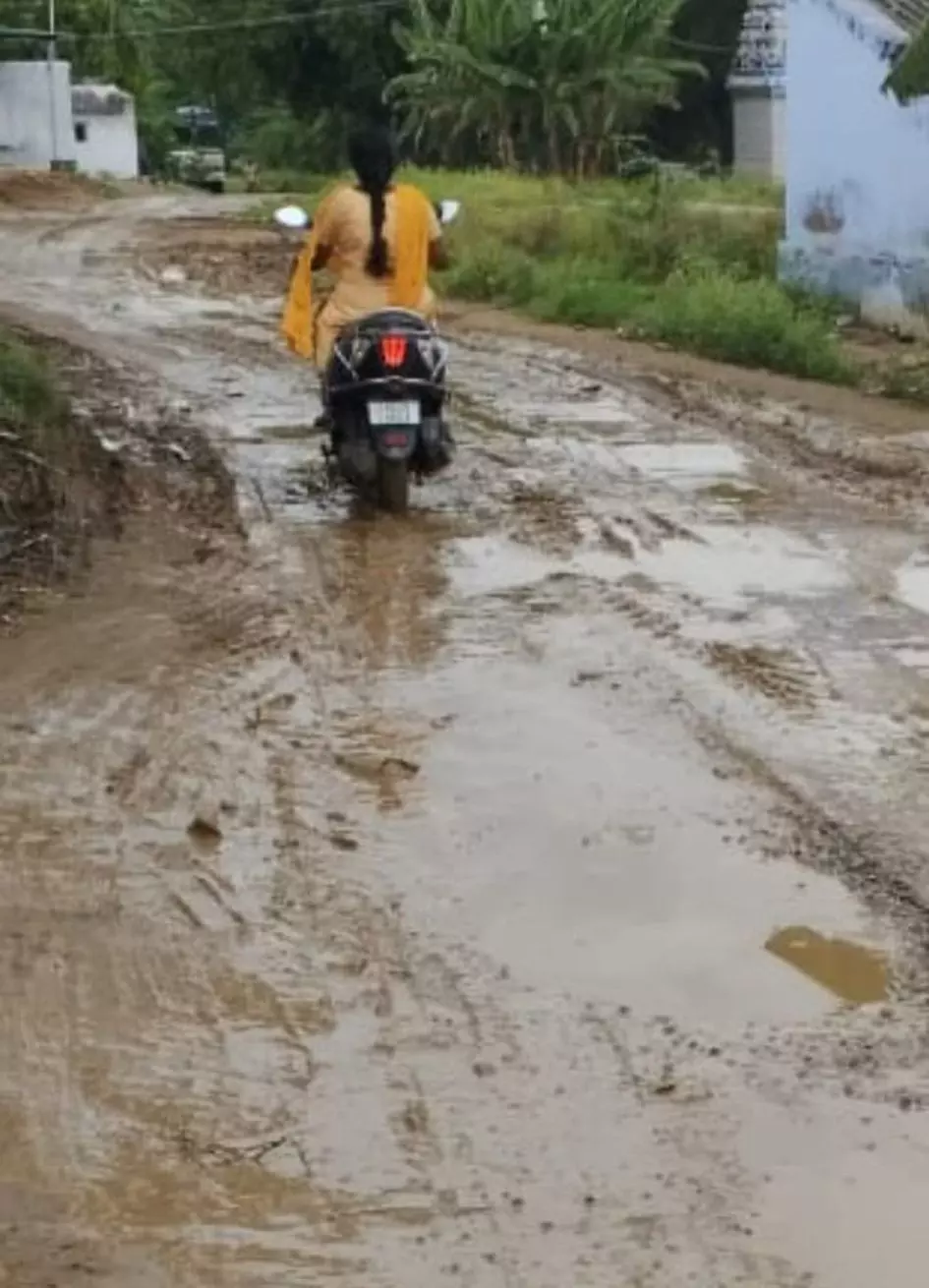 சேறும், சகதியுமான சாலை சேறும், சகதியுமான சாலை