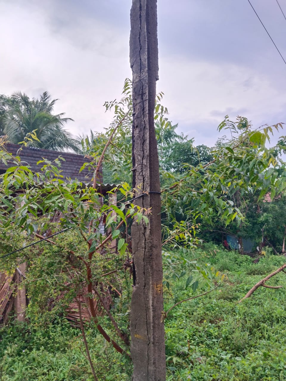 ஆபத்தான மின்கம்பம் அகற்றப்படுமா? ஆபத்தான மின்கம்பம் அகற்றப்படுமா?