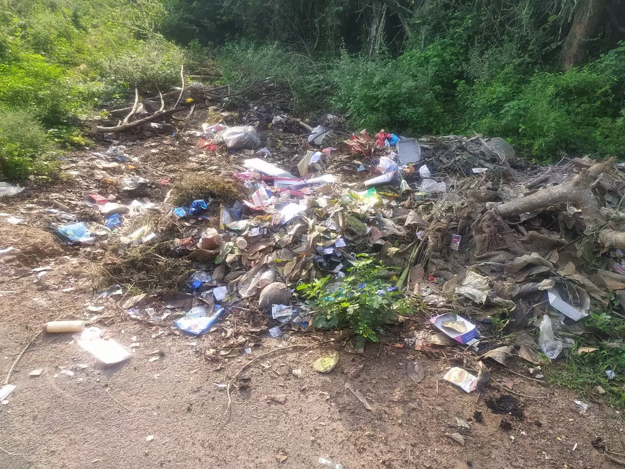 சாலையோரம் கொட்டப்படும் குப்பைகள்