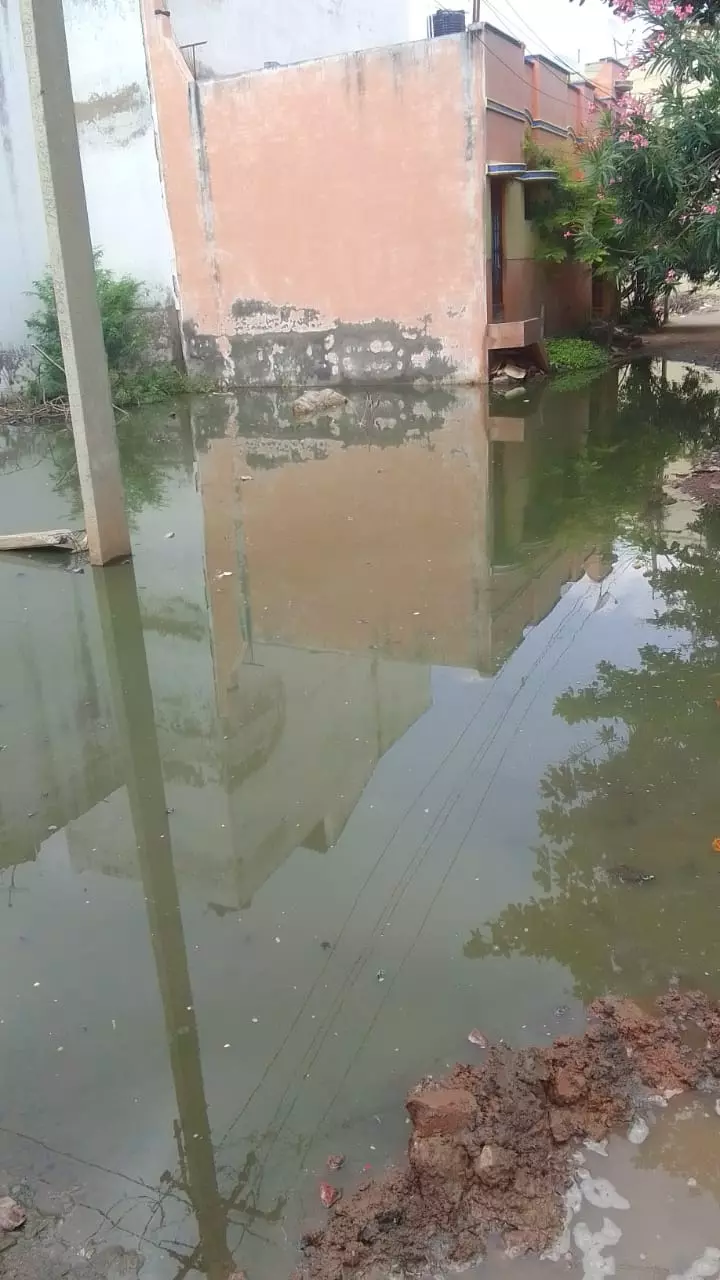 தொற்றுநோய் அபாயம்