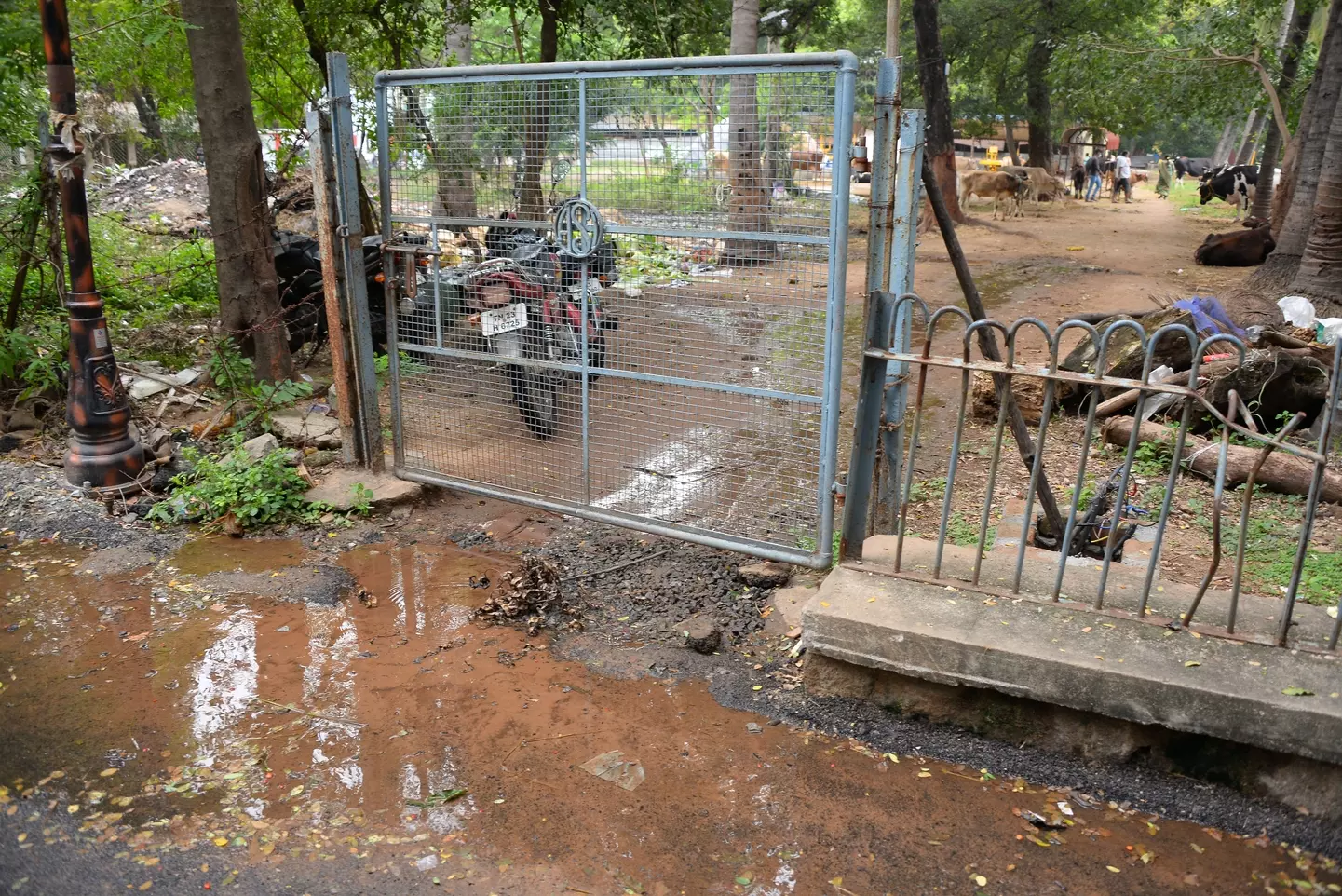 குடிநீர் குழாய் உடைப்பு குடிநீர் குழாய் உடைப்பு