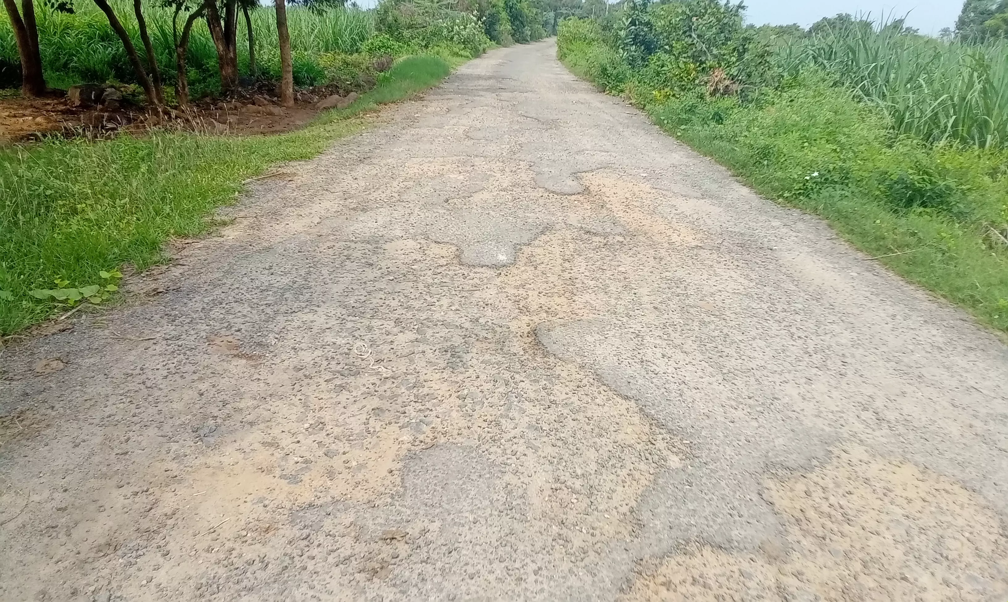 சாலையை சீரமைக்கப்படுமா