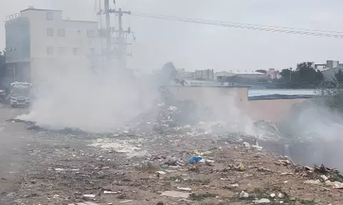 புகைமூட்டத்தால் சுற்றுச்சூழல் பாதிப்பு