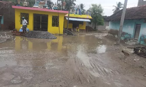 நோய் பரவும் அபாயம்