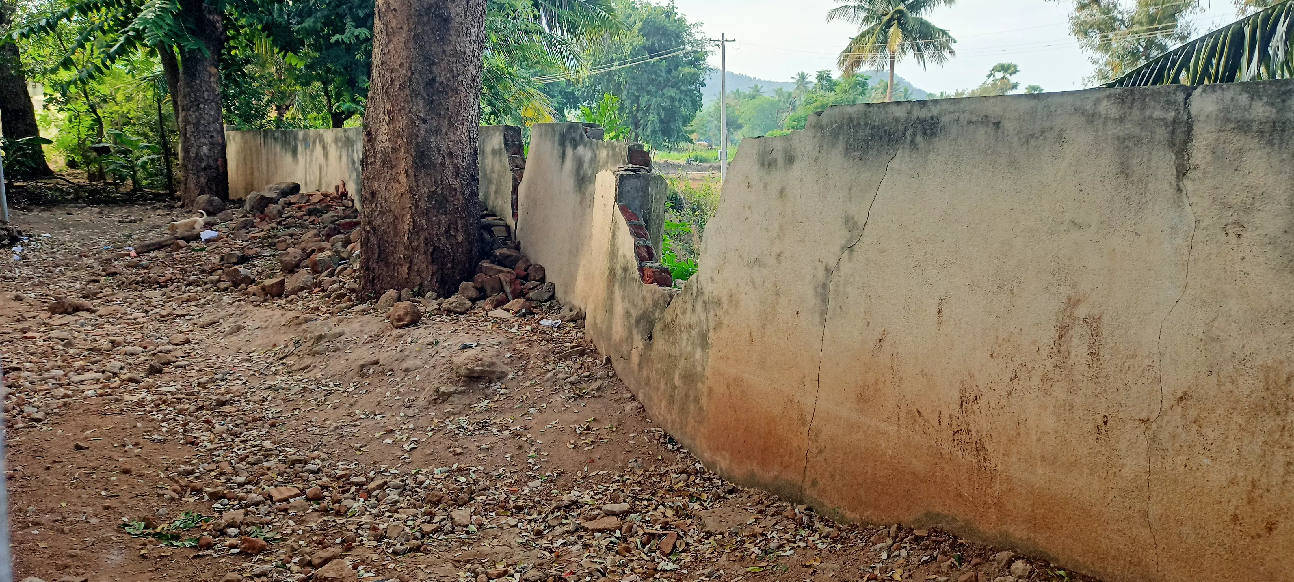 சேதமடைந்த பள்ளி சுற்றுச்சுவர்
