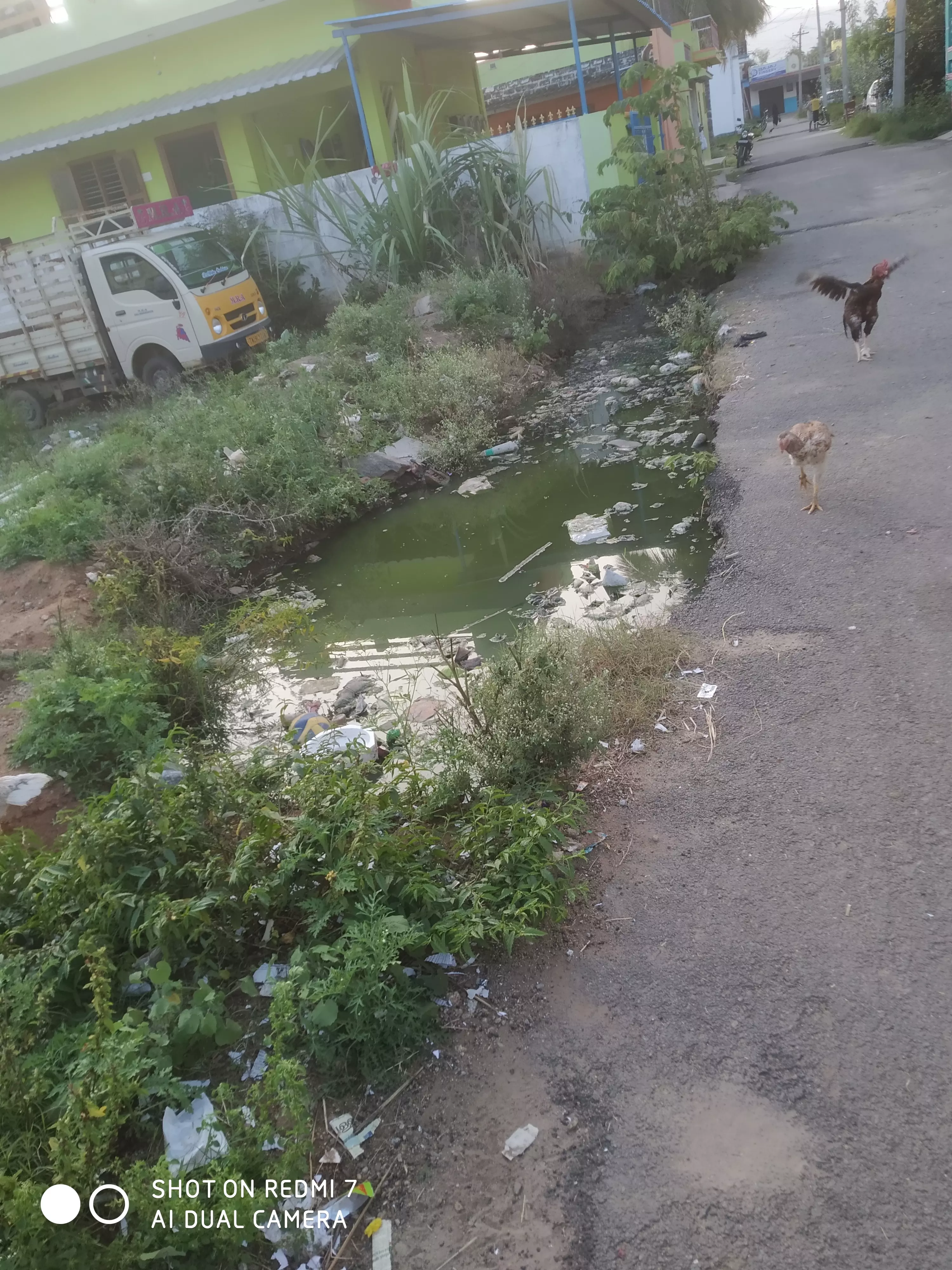 கழிவுநீர் கால்வாய் தேவை