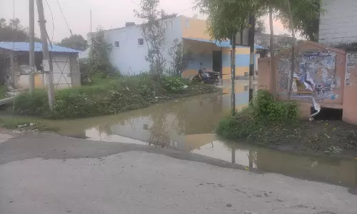 குளம் போல் தேங்கி நிற்கும் மழைநீர் குளம் போல் தேங்கி நிற்கும் மழைநீர்