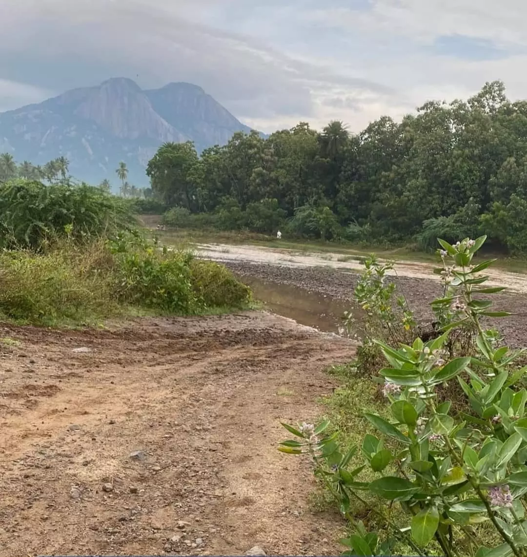 பாலம் அமைக்கப்படுமா?