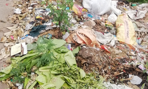 சுற்றுசூழல் மாசு சுற்றுசூழல் மாசு