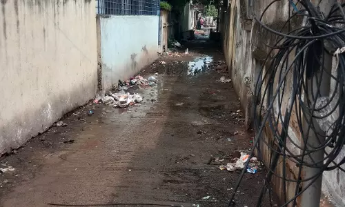 குப்பைகளால் துர்நாற்றம்