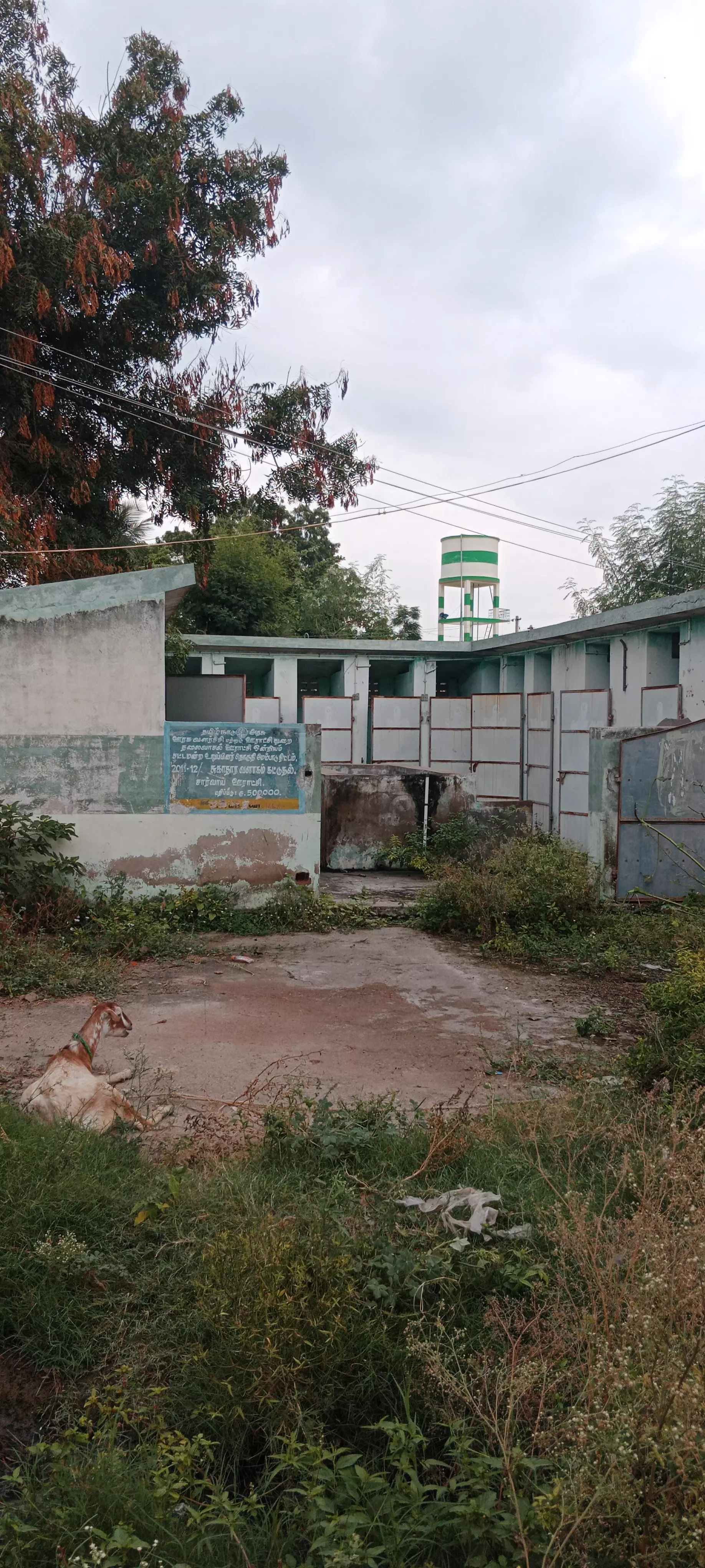 பாழடைந்த கழிவறை பாழடைந்த கழிவறை