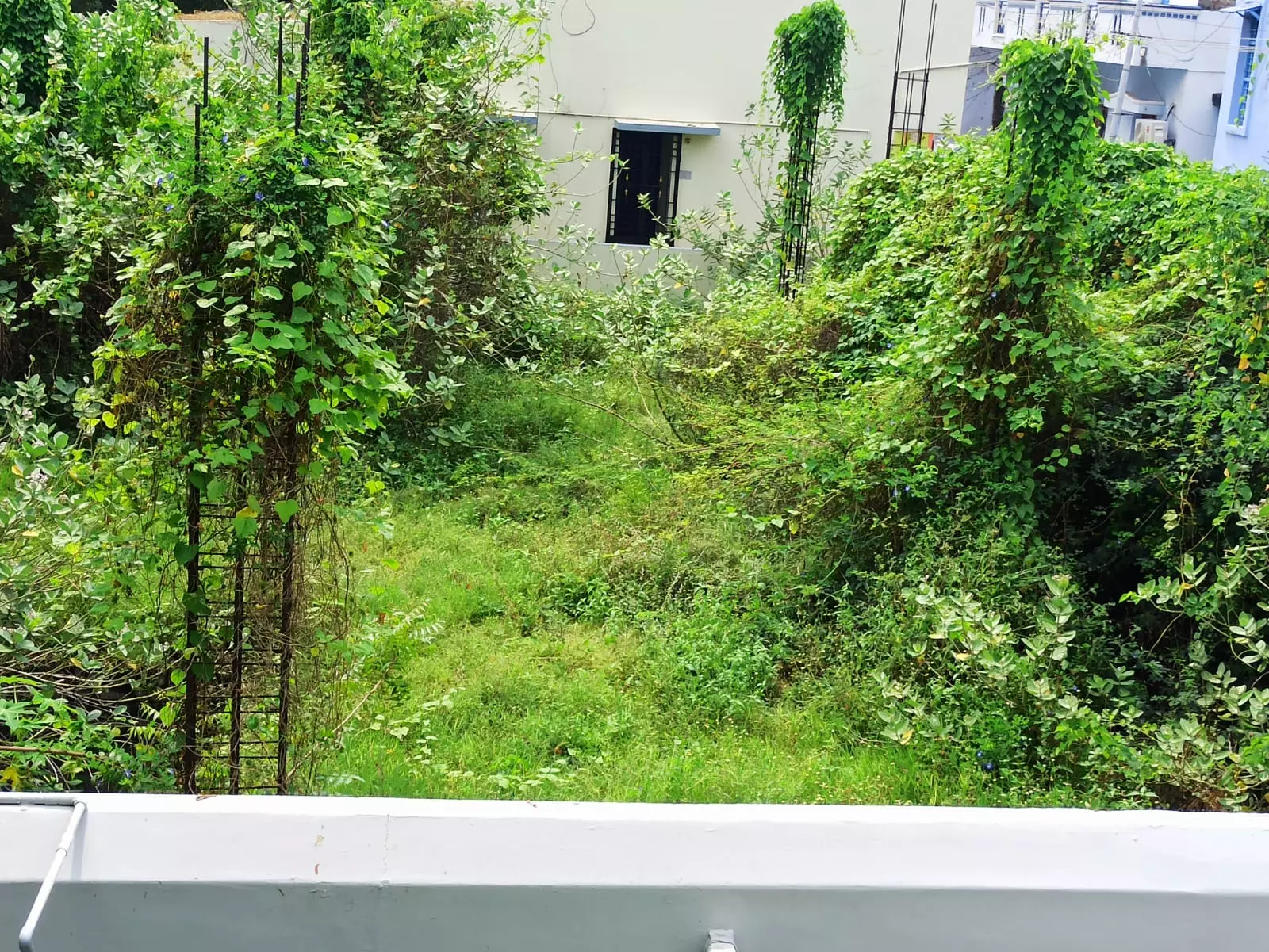 பொதுமக்கள் வெளியே செல்ல அச்சம் பொதுமக்கள் வெளியே செல்ல அச்சம்