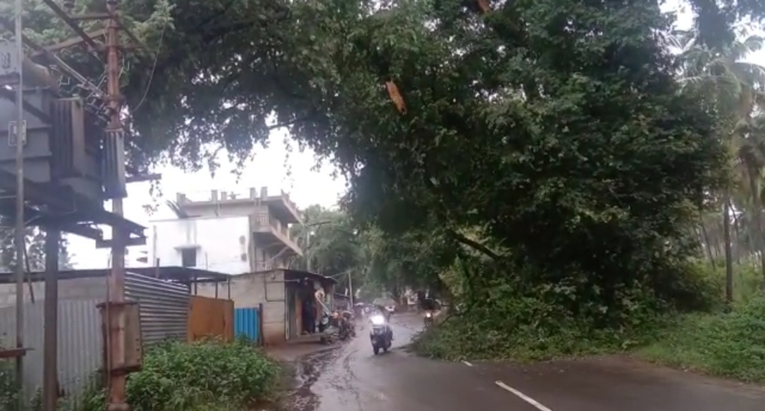 அபாயகரமான மரக்கிளையை அகற்ற வேண்டும்