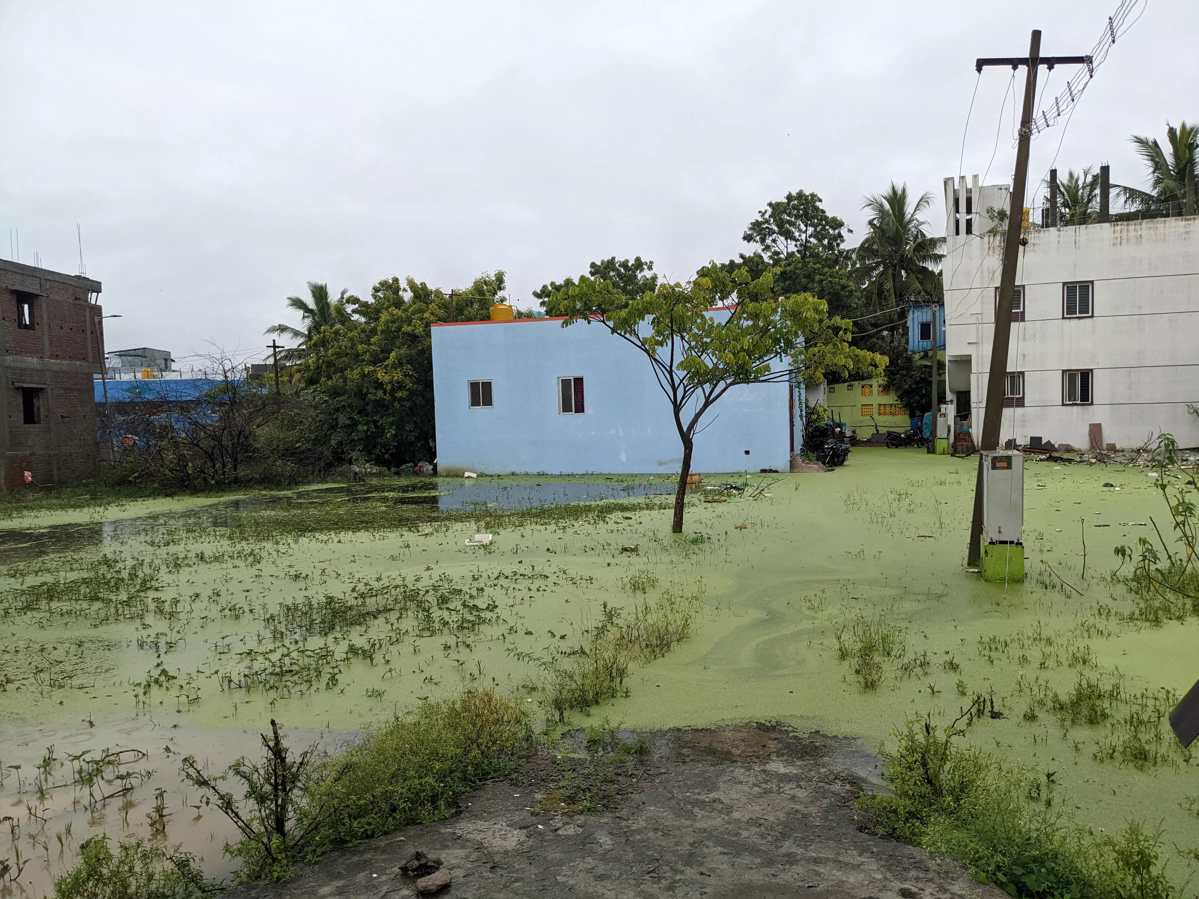 மழை நீர் வடிகால் அமைக்காமல் புறக்கணிப்பு மழை நீர் வடிகால் அமைக்காமல் புறக்கணிப்பு