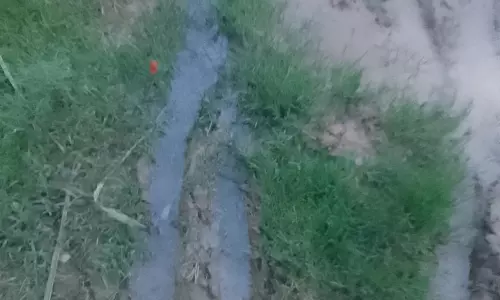 வடிகால் வாய்க்கால் அமைக்கப்படுமா?