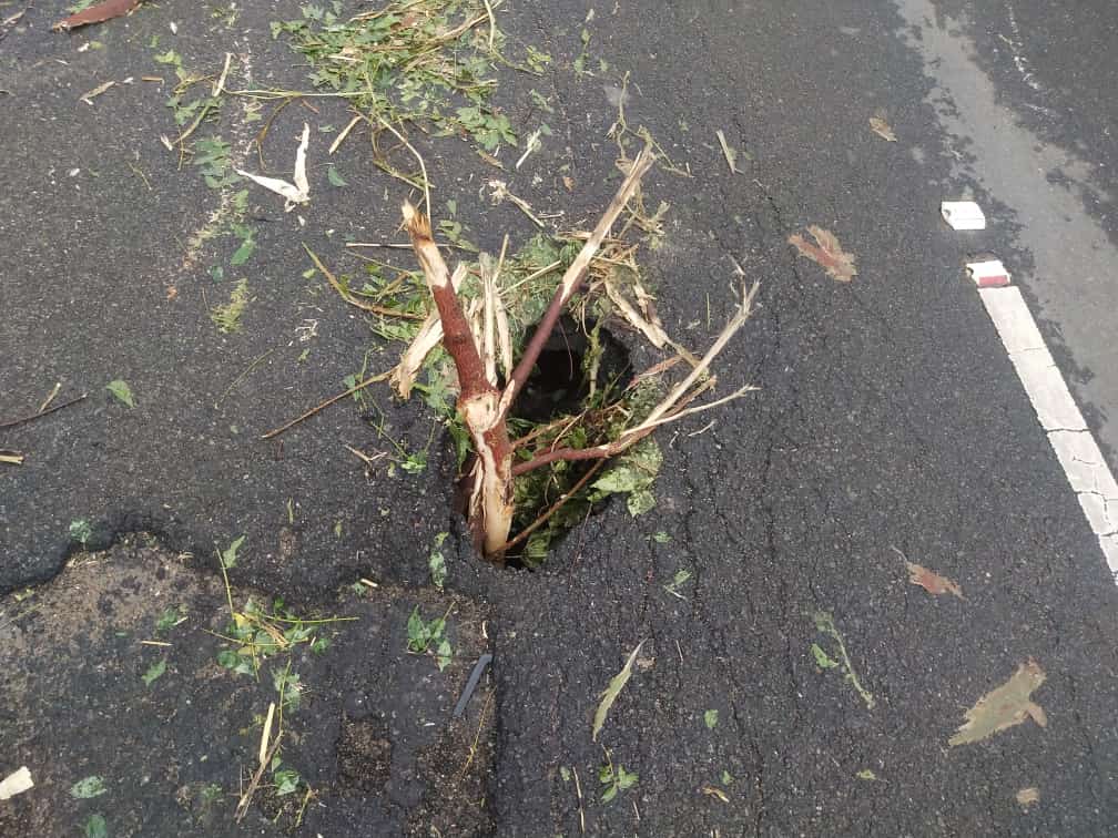 சேதமடைந்த சாலை