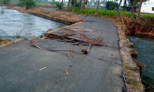 தடுப்பு சுவர் தேவை தடுப்பு சுவர் தேவை