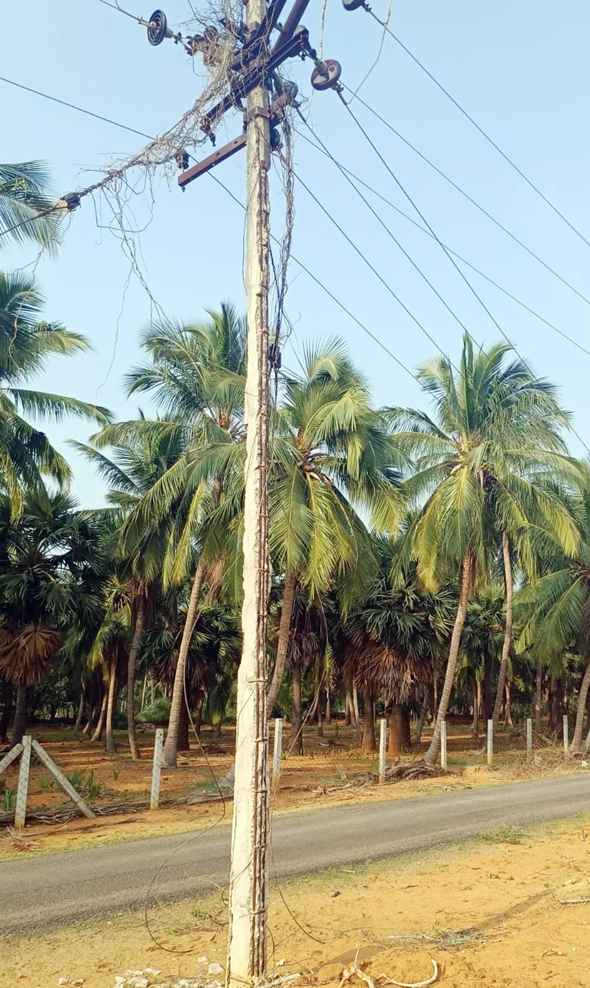 சேதமடைந்த மின்கம்பங்கள் சேதமடைந்த மின்கம்பங்கள்