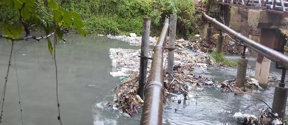 வாய்க்காலில் குப்பைகள்