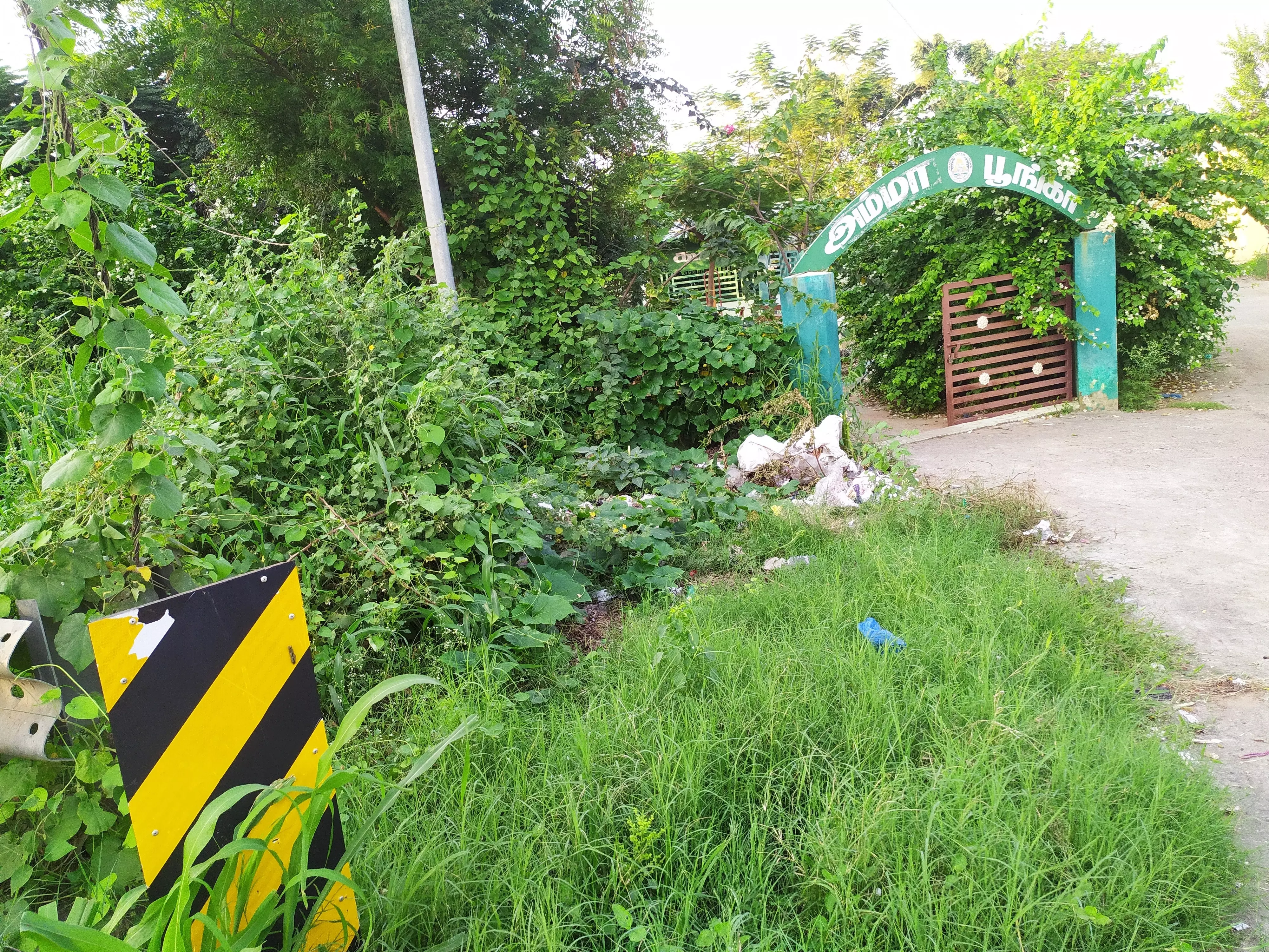 தினத்தந்திக்கு நன்றி