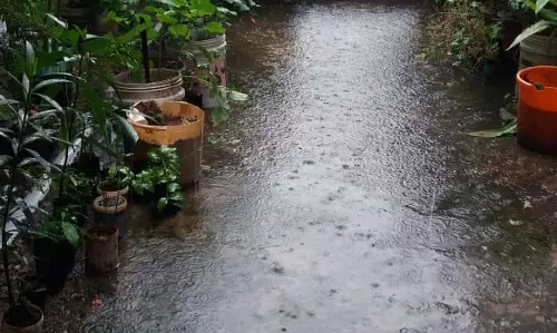 வீட்டுக்குள்ளே கழிவுநீர்!