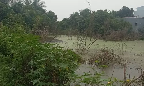 தூர்வாரப்படாத குளம் தூர்வாரப்படாத குளம்