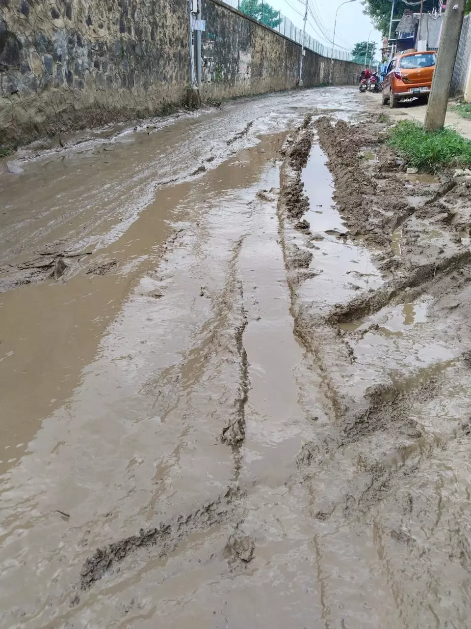 சகதி சாலையில் பயணமா? சகதி சாலையில் பயணமா?