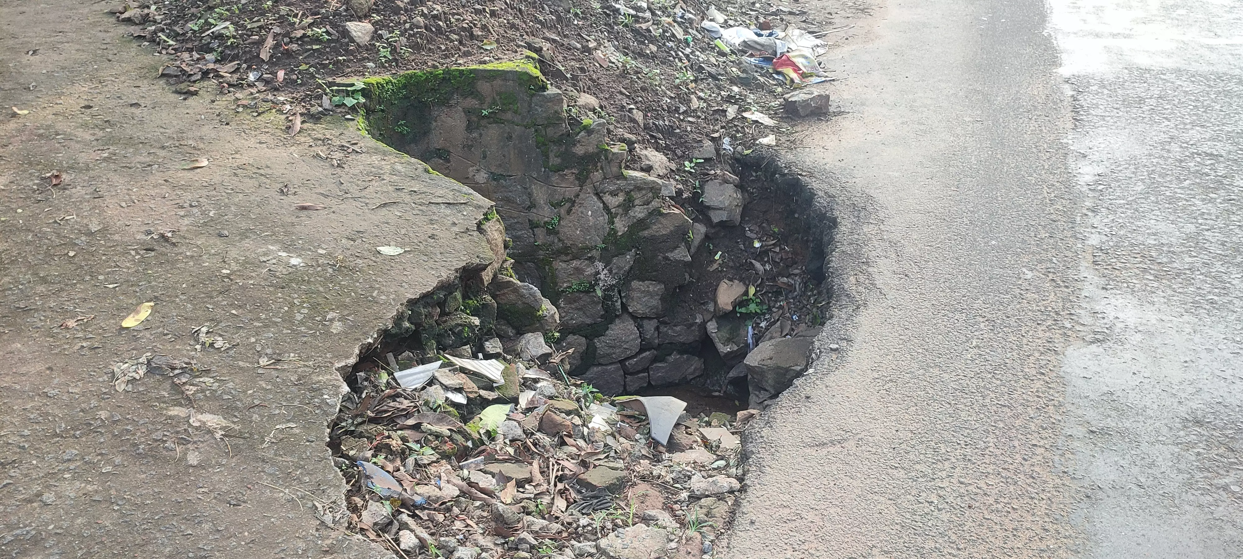 நடவடிக்கை எடுக்க வேண்டும் நடவடிக்கை எடுக்க வேண்டும்