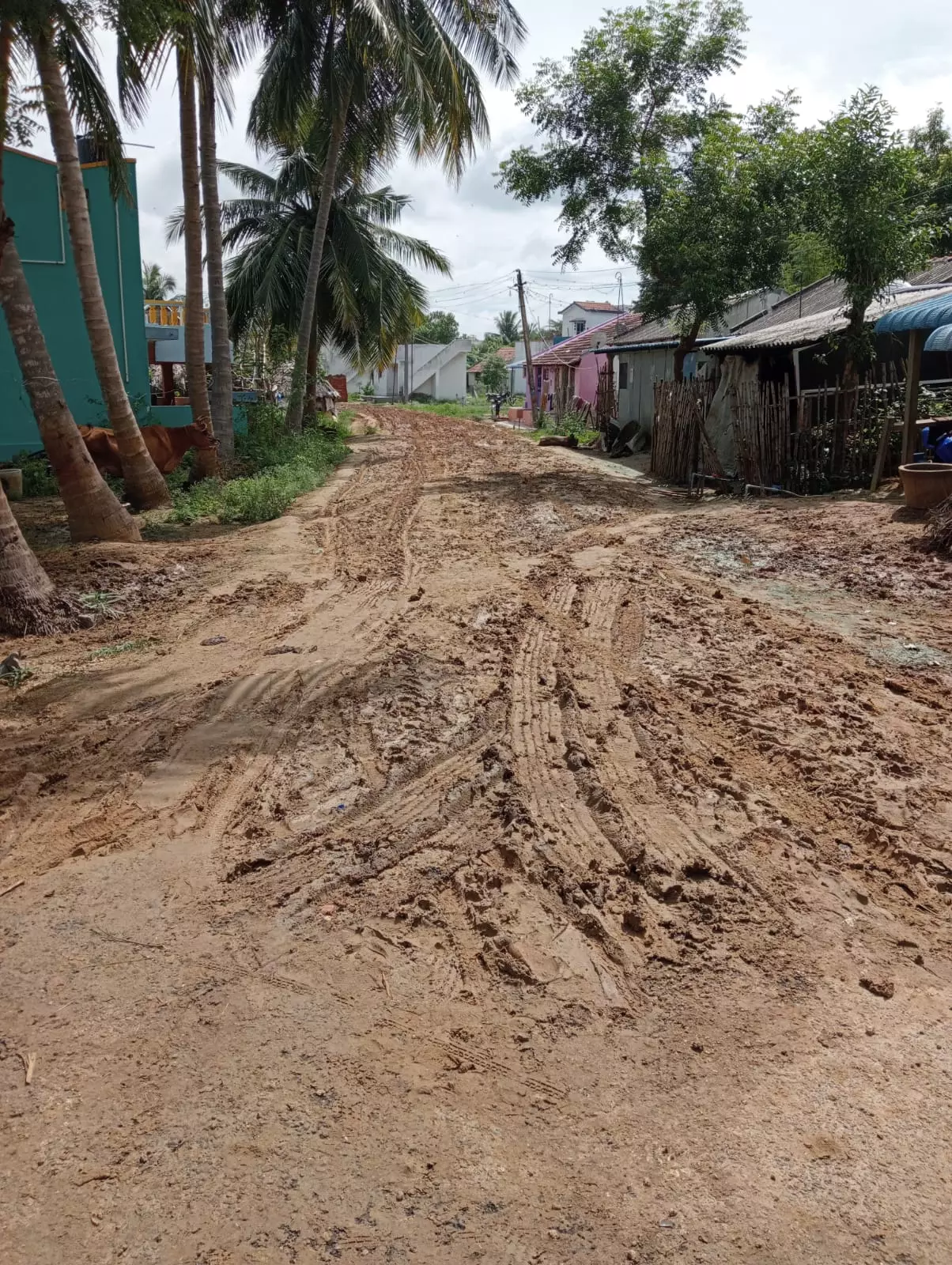 போக்குவரத்துக்கு லாயக்கற்ற மண் சாலை