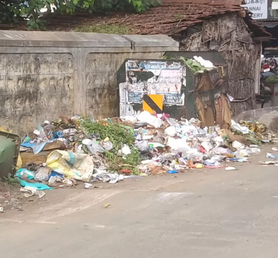 குப்பை அகற்றப்படுமா?