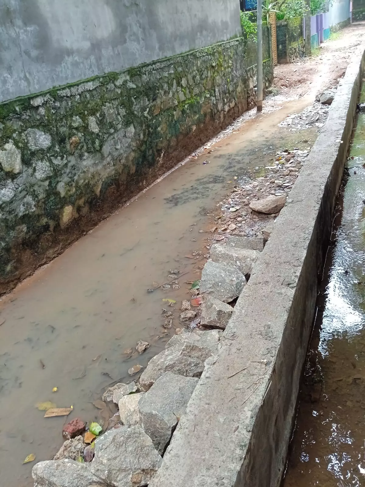 சாலை பணி முடக்கம்