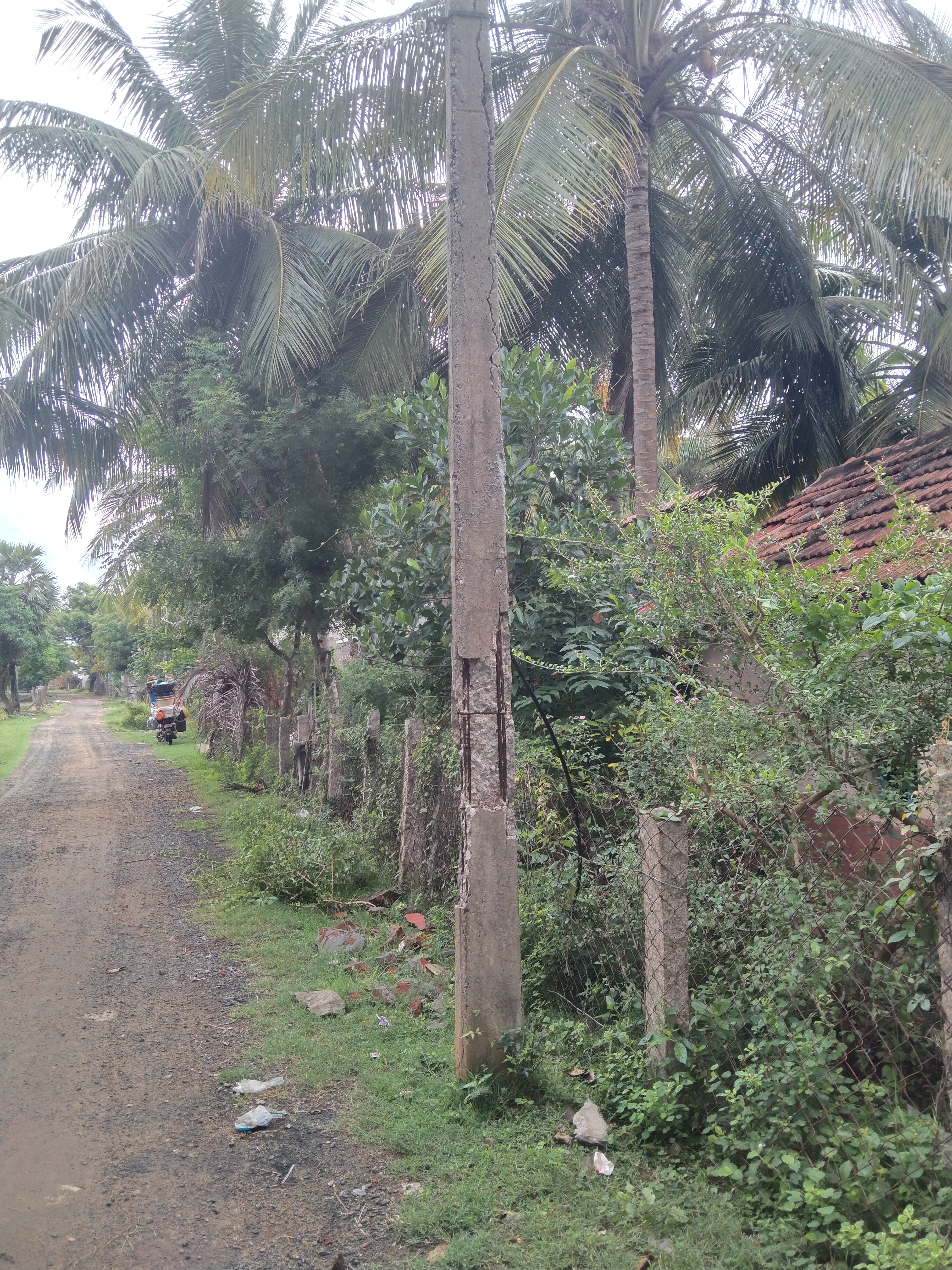 சிதிலமடைந்த மின்கம்பம் சிதிலமடைந்த மின்கம்பம்