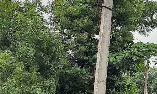 பகலில் எரியும் மின் விளக்கு