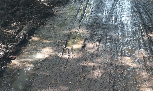 சேறும்,சகதியுமான சாலை